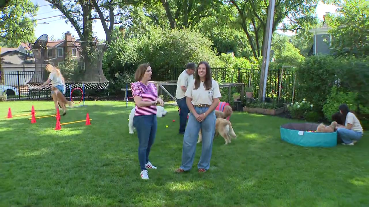 The dogs arrive at their field trip destination